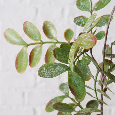 Boltze home decoratietak blad l94cm