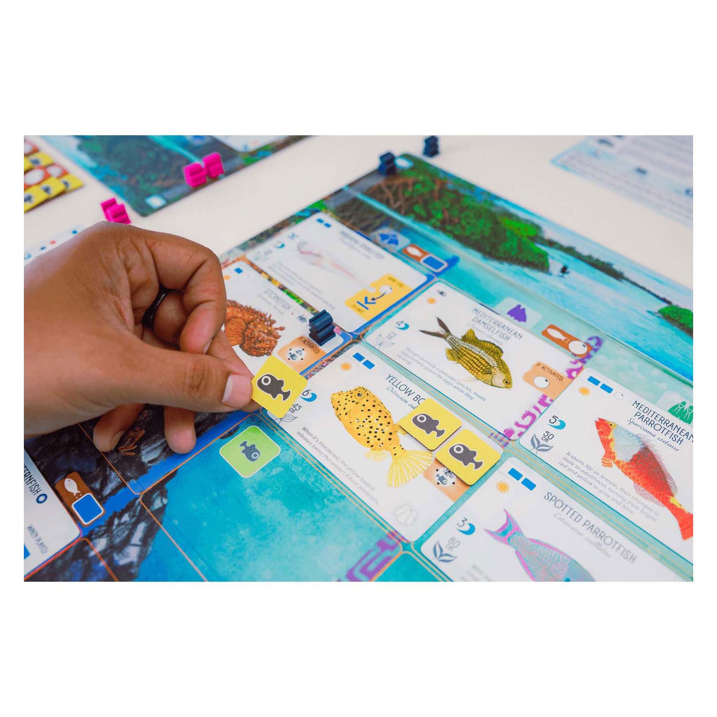 999games 999 games finspan bordspel (nederlands, 1 - 5 spelers, 60 minuten, vanaf 10 jaar)