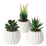 Boltze home kunstplant vetplant in stenen pot wit h15cm b7cm - afbeelding 1