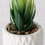 Boltze home kunstplant vetplant in stenen pot wit h15cm b7cm - afbeelding 2