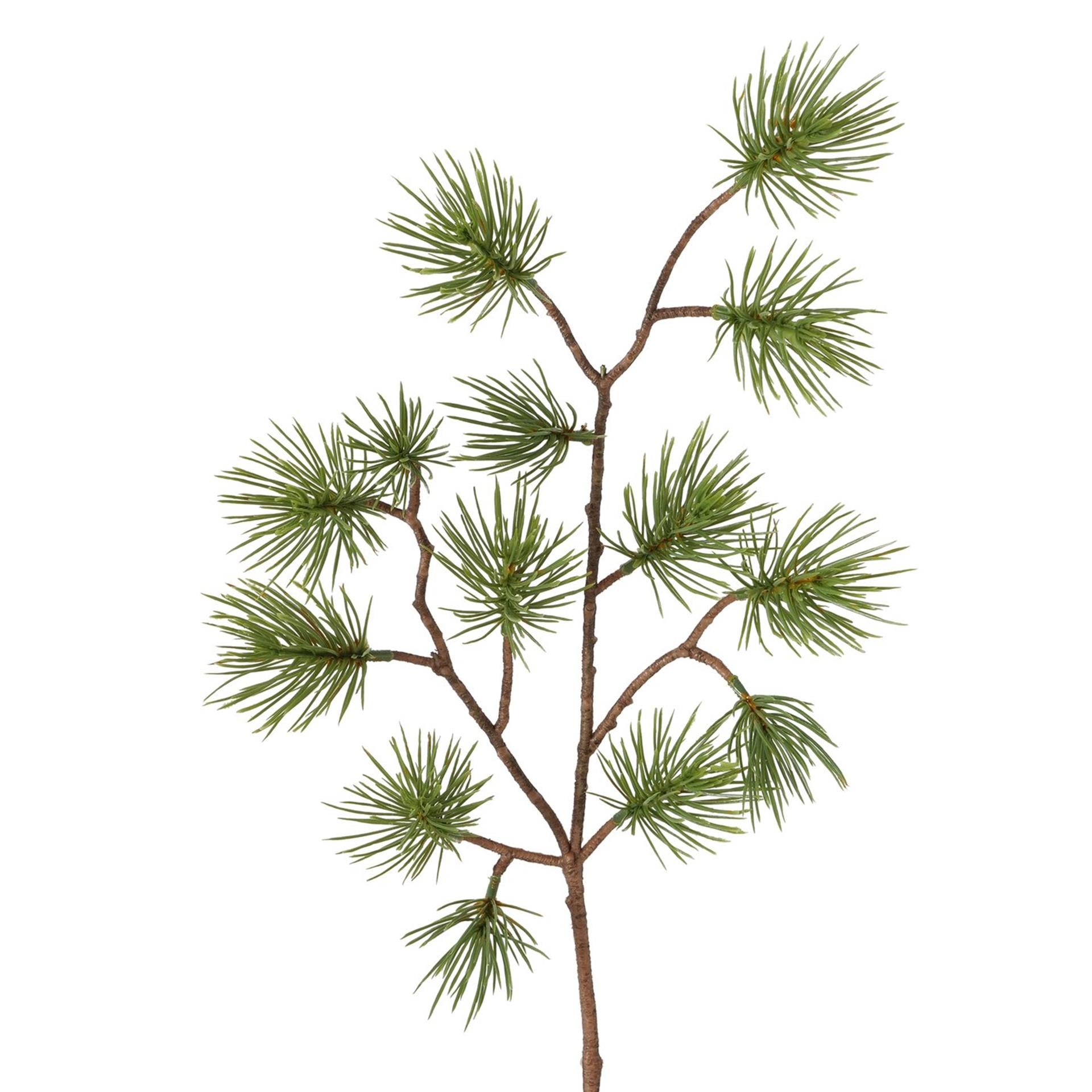 Boltze home decoratietak dennen groen h55cm