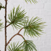 Boltze home decoratietak dennen groen h55cm