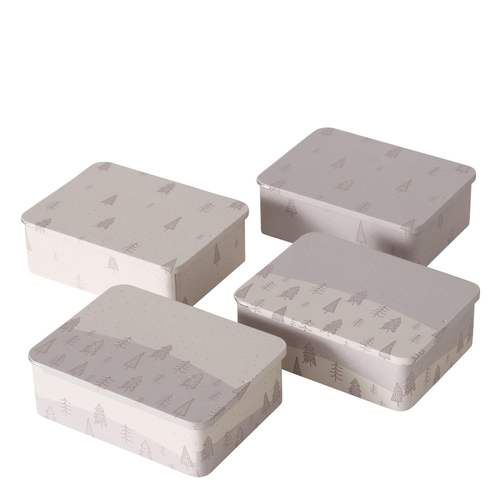 Boltze home opbergblik countryside l12cm h4cm ijzer wit