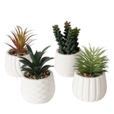 Boltze home kusnstplant yucatan h14cm - afbeelding 1