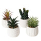 Boltze home kusnstplant yucatan h14cm