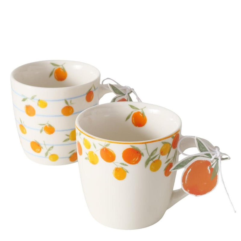 Boltze home mok sinaasappel 250ml