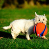 Chuckit kick fetch