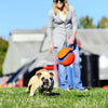 Chuckit kick fetch