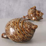Boltze home deco schelp keramiek 10x5cm - afbeelding 2