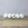 Vaessen creative • piepschuim eieren 10cm 5pcs