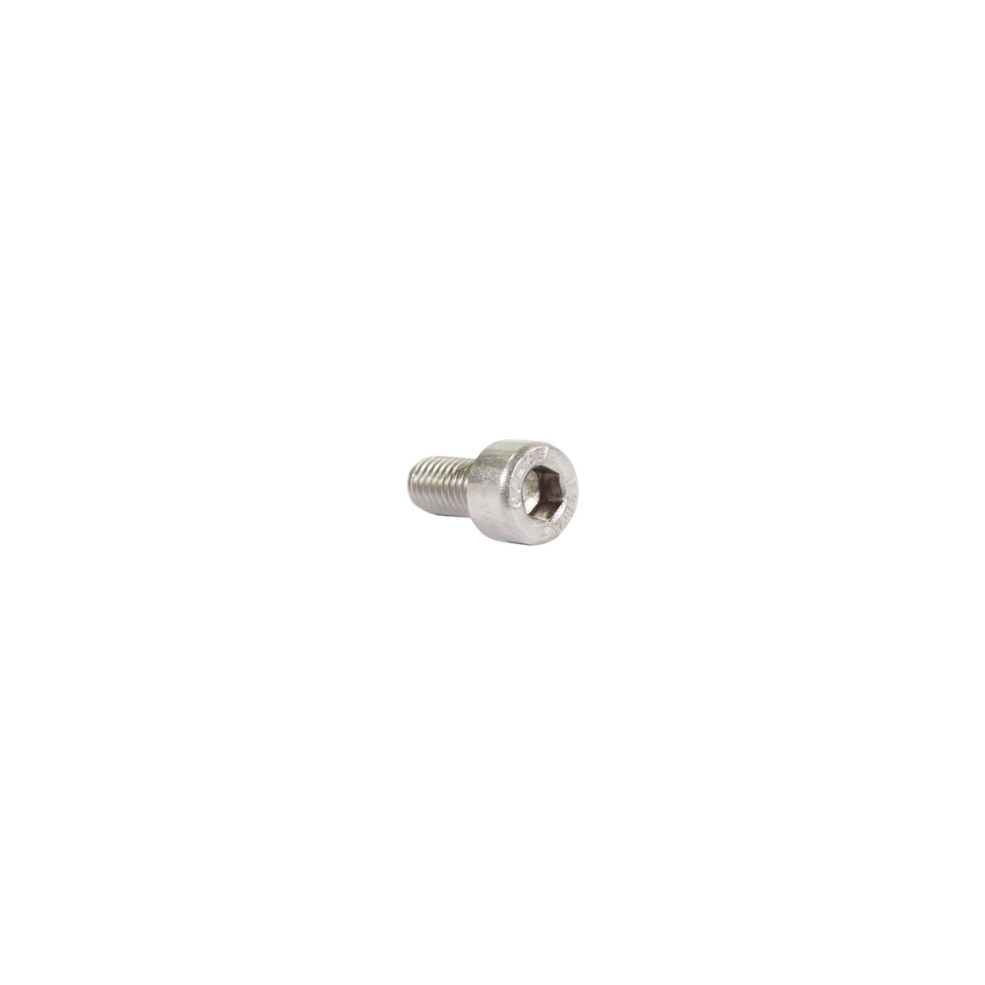Bofix inbusbout m2x10 rvs (25st)