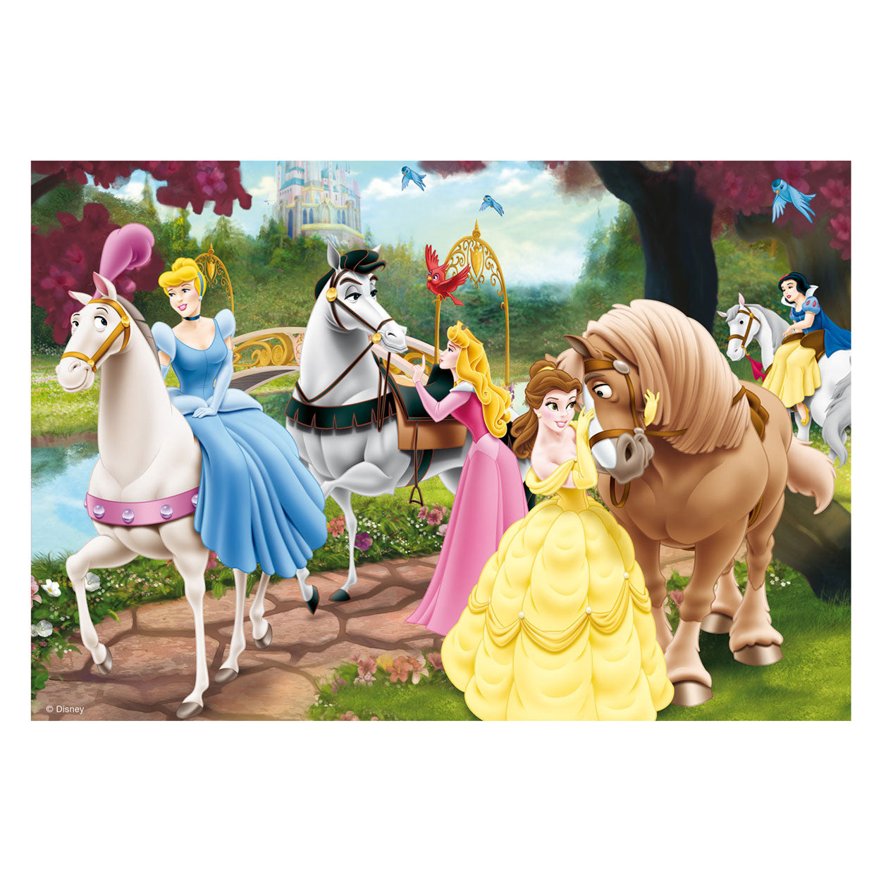 Ravensburger Prinsessen, 2x24st.