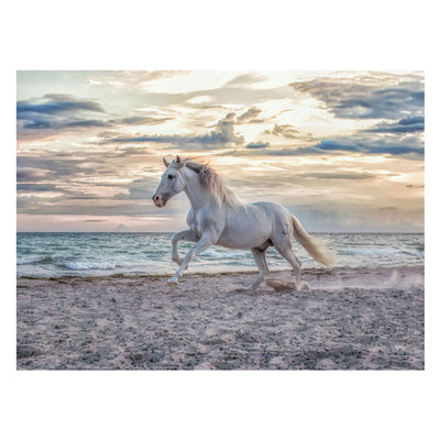 Ravensburger puzzel paard strand - 500 stukjes legpuzzel dieren.