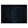 Ravensburger legpuzzel krypt universe glow, 881st.