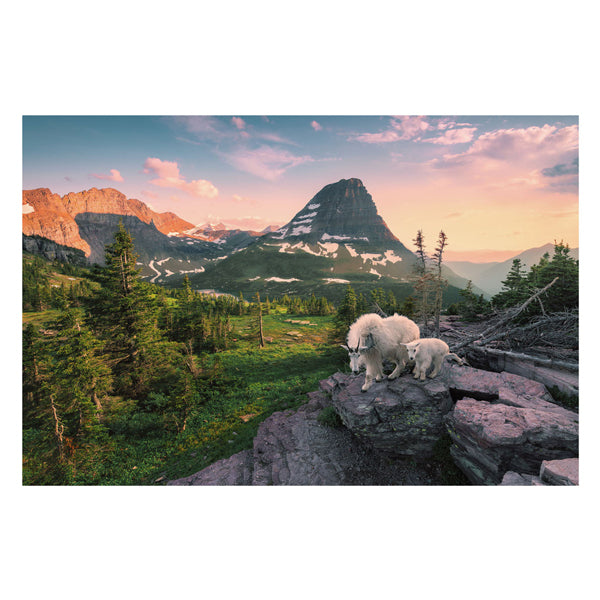 Ravensburger puzzel alpine geit met jong - legpuzzel - 3000 stukjes