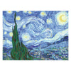 Ravensburger creart schilderen op nummer - the starry night van gogh