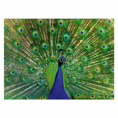 Ravensburger puzzel peacock 500 stukjes