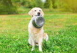 Happy pet voerbak rvs - afbeelding 2