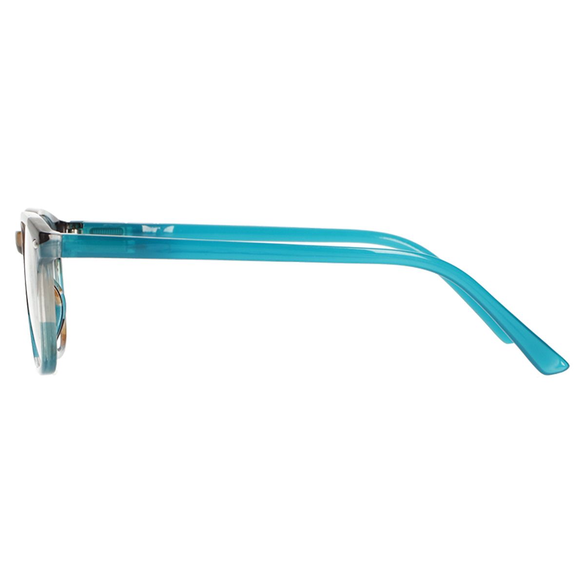 Spectrum leesbril blauw bruin 2.50