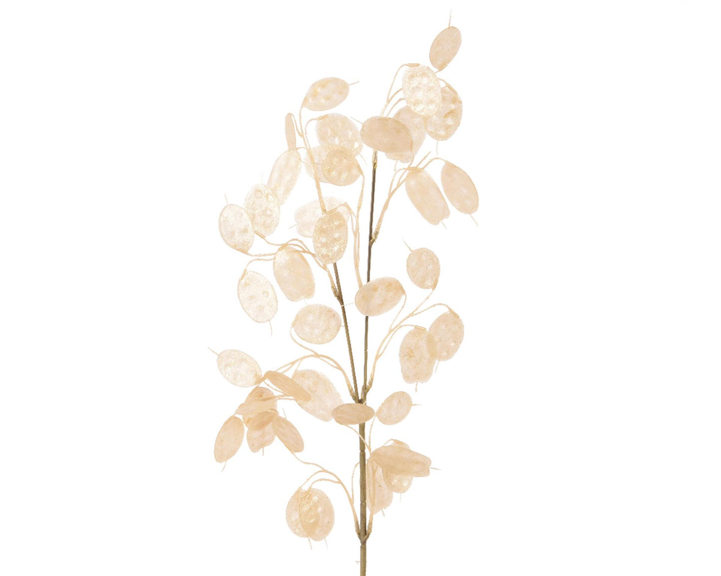 Decoris kunstbloem silver dollar h76cm parel