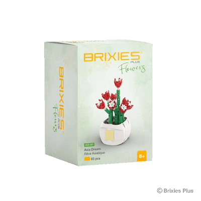 Oku brixies plus flower asia dream bouwsteentjes