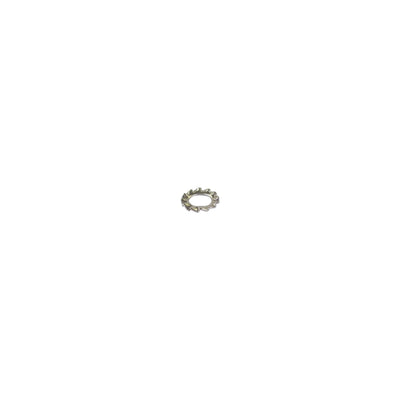 Bofix Tandveerring M6 Rvs (P100)