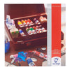 Van gogh • acrylverf in kist inspiration met 14 kleuren in tubes van 40ml + accessoires