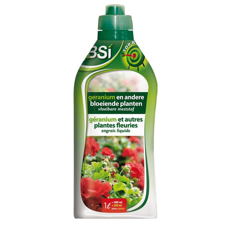 Bsi geranium en andere bloeiende planten