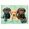 Clementoni puzzel 1000pcs labradors