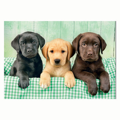 Clementoni puzzel 1000pcs labradors