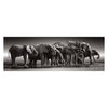 Clementoni legpuzzel herd of giants, 1000st.