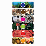 Clementoni wetenschap spel microscoop smart - afbeelding 5