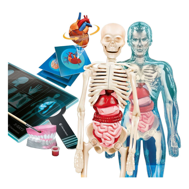 Clementoni wetenschap en spel - super anatomie