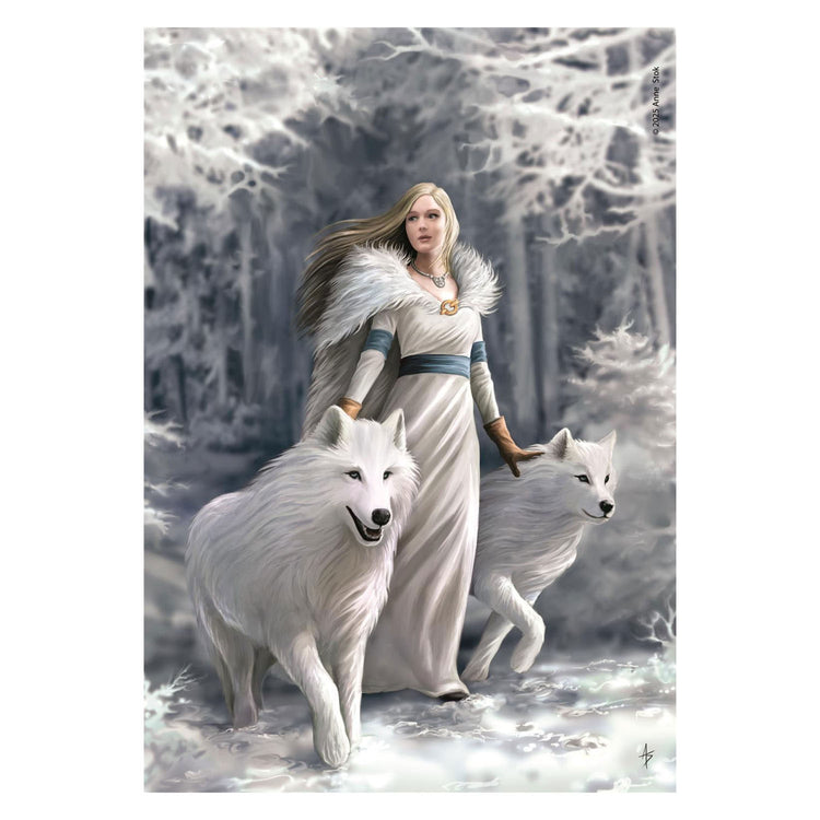 Clementoni legpuzzel anne stokes winter guardians - 1000st.