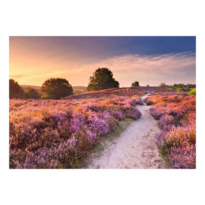 Ravensburger legpuzzel pink pathway - 1000st.