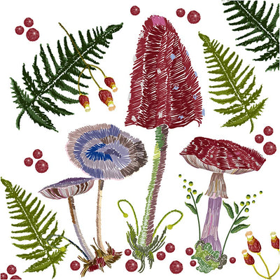 Https: www.cchobby.nl servetten-afm-33x33-cm-20-stuk-1-doos-234749
