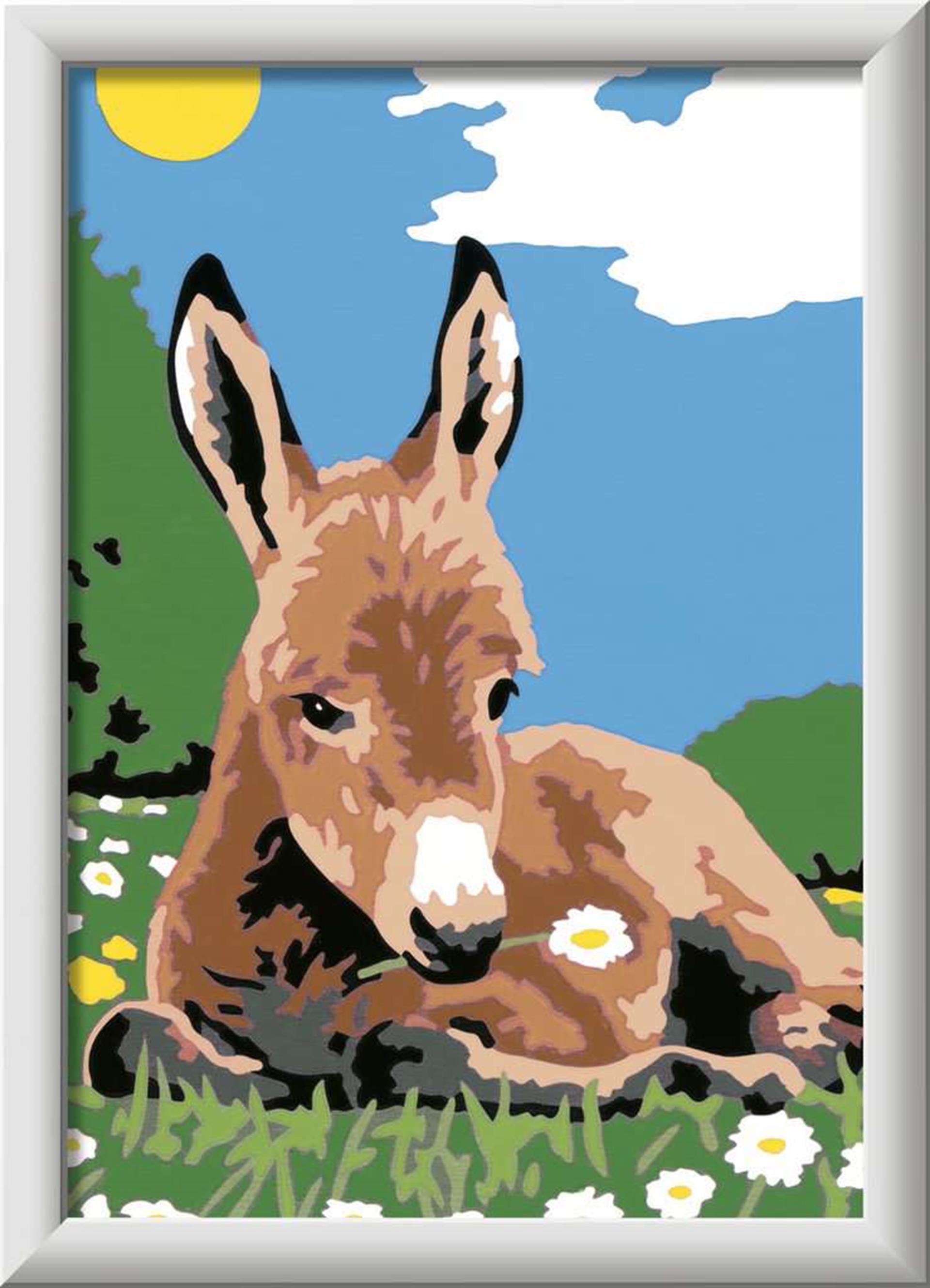 Ravensburger creart little donkey