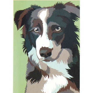 Nassau schilderen op nummer hond | 3 stuks