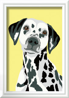 Ravensburger creart schilderen op nummer - dalmatier