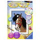 Ravensburger schilderen op nummer paardenblik - hobbypakket