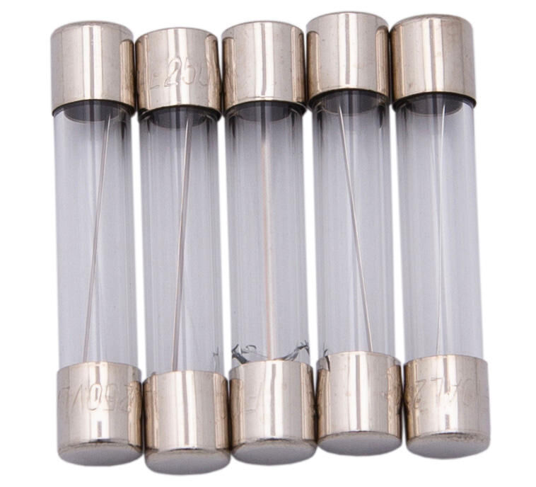 Dresselhaus glassicherung glass fuses 6.3x30 10a f. japanese vehicles.