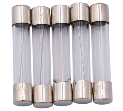 Dresselhaus glassicherung glass fuses 6.3x30 10a f. japanese vehicles.