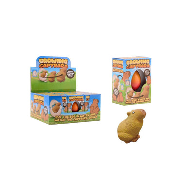 Johntoy groeiende capybara ei in doos,4 assorti