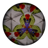 Johntoy Kaleidoscoop Zeedieren - afbeelding 2