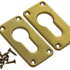 Yale 1019196 - 2 messing bekleding. profielcilind. pa250 | 5 stuks