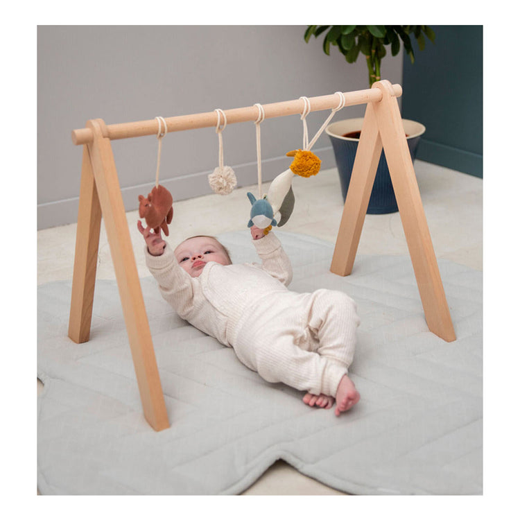 Trixie houten babygym kameel, reiger, walvis