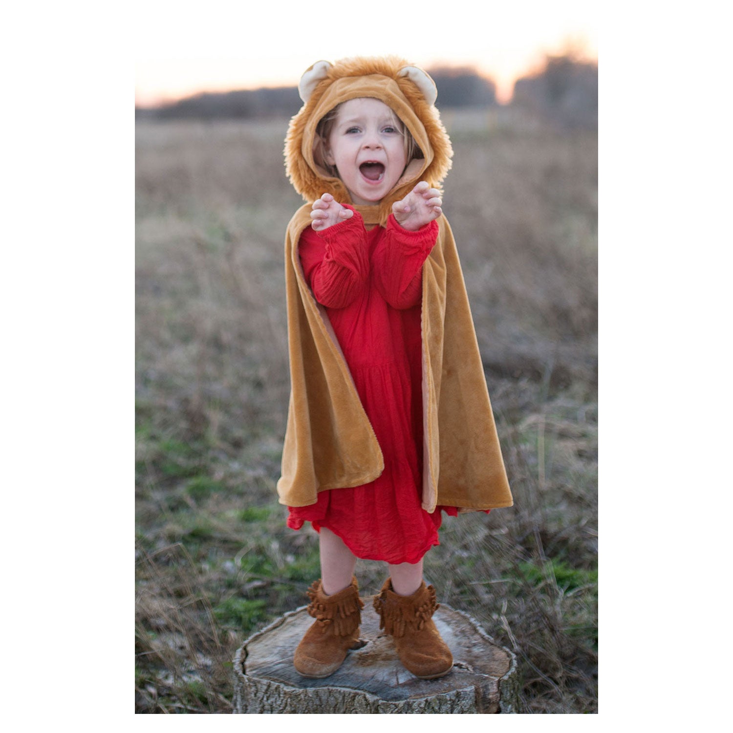 Great pretenders cape leeuw, 2-3 jaar
