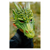 Great pretenders drakenmasker groen