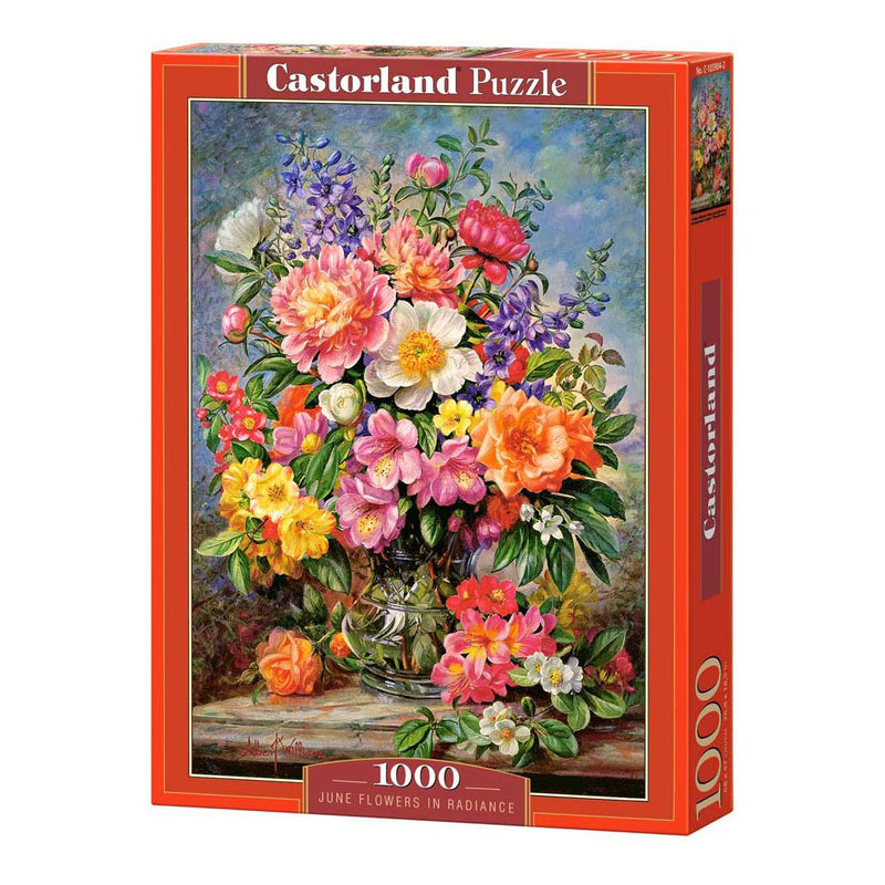 Selecta castorland legpuzzel june flowers in radiance, 1000st.