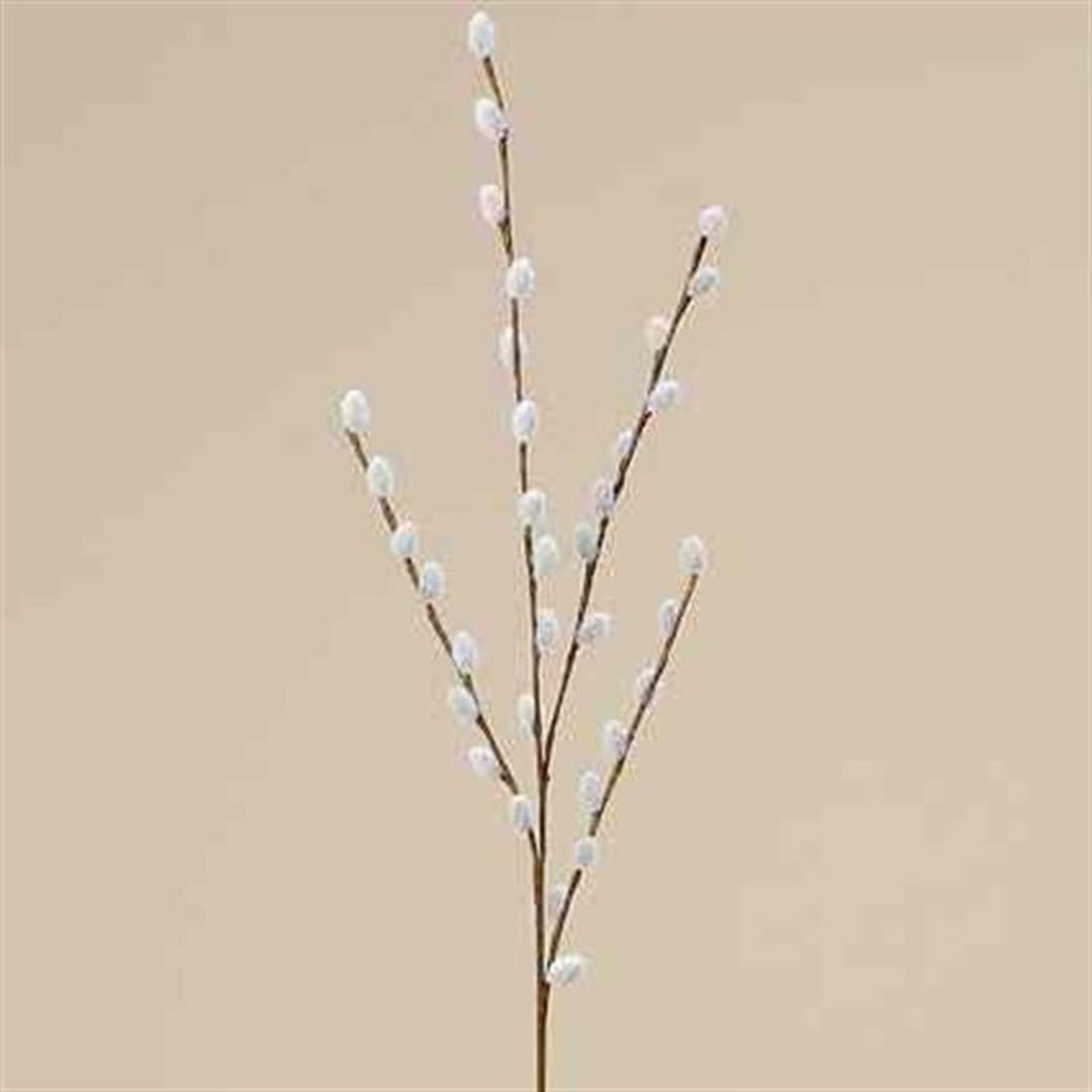 Boltze home decoratieve tak wilgenkatjes 75cm